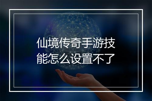 仙境传奇手游技能怎么设置不了