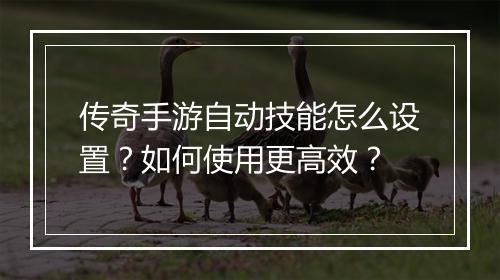 传奇手游自动技能怎么设置？如何使用更高效？