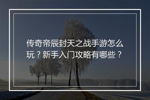 传奇帝辰封天之战手游怎么玩？新手入门攻略有哪些？