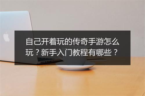 自己开着玩的传奇手游怎么玩？新手入门教程有哪些？