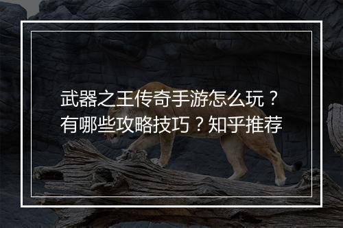 武器之王传奇手游怎么玩？有哪些攻略技巧？知乎推荐