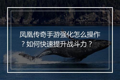 凤凰传奇手游强化怎么操作？如何快速提升战斗力？