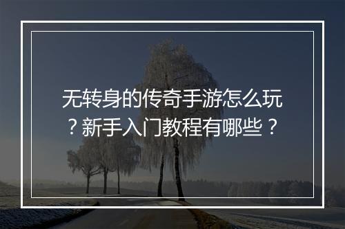 无转身的传奇手游怎么玩？新手入门教程有哪些？