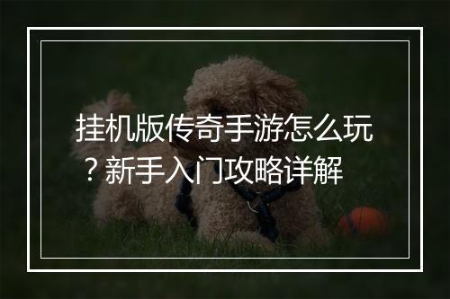 挂机版传奇手游怎么玩？新手入门攻略详解