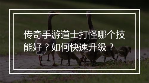 传奇手游道士打怪哪个技能好？如何快速升级？