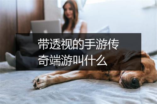 带透视的手游传奇端游叫什么