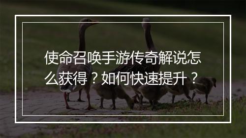 使命召唤手游传奇解说怎么获得？如何快速提升？