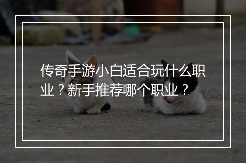 传奇手游小白适合玩什么职业？新手推荐哪个职业？