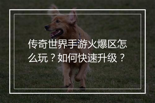 传奇世界手游火爆区怎么玩？如何快速升级？