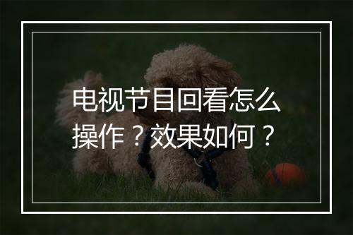 电视节目回看怎么操作？效果如何？