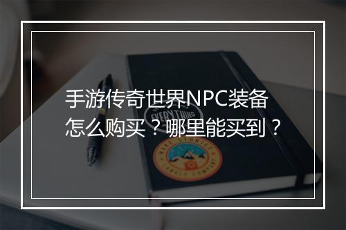 手游传奇世界NPC装备怎么购买？哪里能买到？