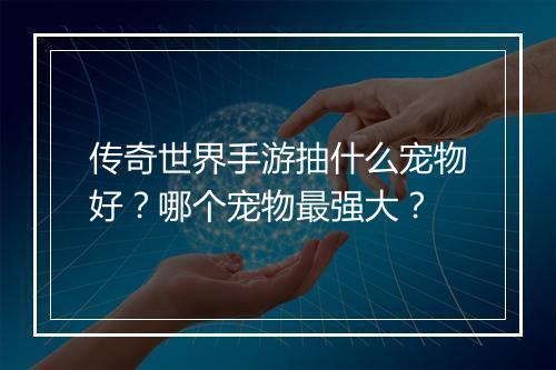 传奇世界手游抽什么宠物好？哪个宠物最强大？