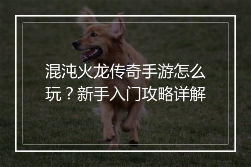 混沌火龙传奇手游怎么玩？新手入门攻略详解