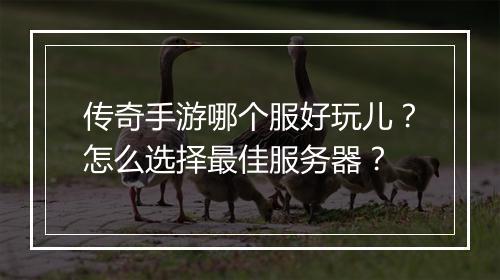 传奇手游哪个服好玩儿？怎么选择最佳服务器？
