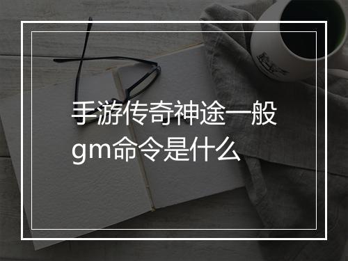 手游传奇神途一般gm命令是什么