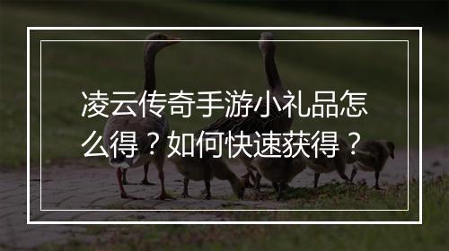 凌云传奇手游小礼品怎么得？如何快速获得？