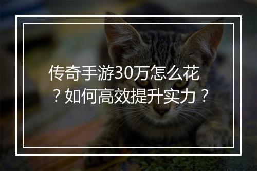传奇手游30万怎么花？如何高效提升实力？