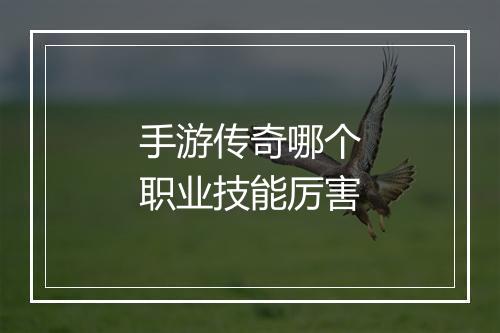手游传奇哪个职业技能厉害