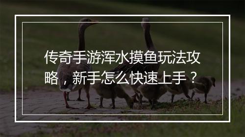 传奇手游浑水摸鱼玩法攻略，新手怎么快速上手？