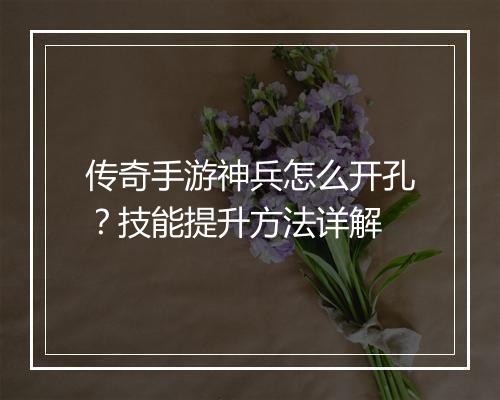 传奇手游神兵怎么开孔？技能提升方法详解