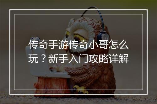 传奇手游传奇小哥怎么玩？新手入门攻略详解