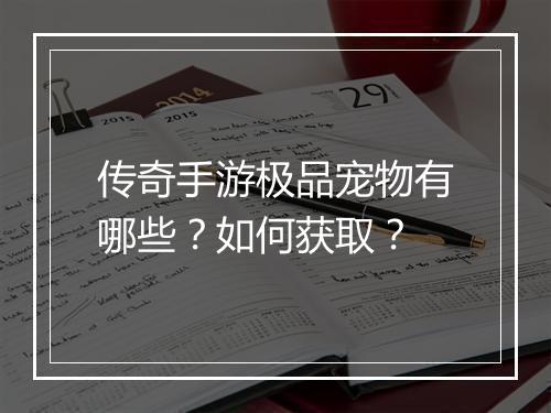 传奇手游极品宠物有哪些？如何获取？