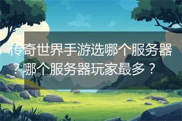 传奇世界手游选哪个服务器？哪个服务器玩家最多？