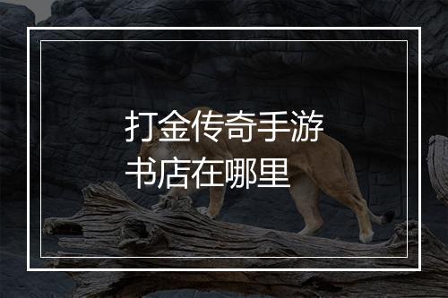 打金传奇手游书店在哪里