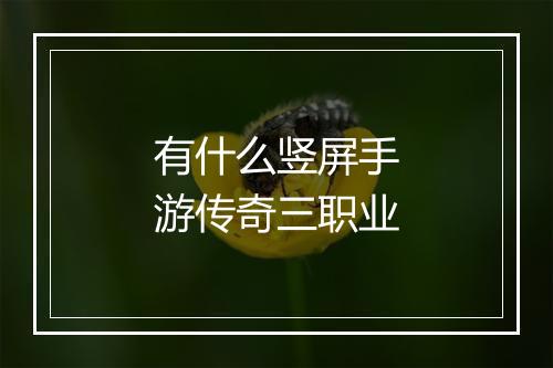 有什么竖屏手游传奇三职业