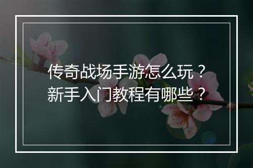 传奇战场手游怎么玩？新手入门教程有哪些？