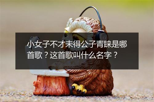 小女子不才未得公子青睐是哪首歌？这首歌叫什么名字？