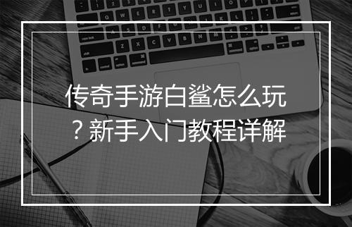 传奇手游白鲨怎么玩？新手入门教程详解