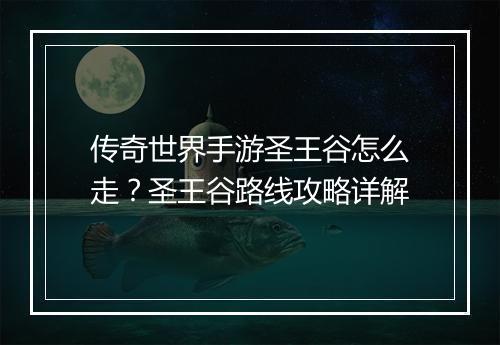 传奇世界手游圣王谷怎么走？圣王谷路线攻略详解