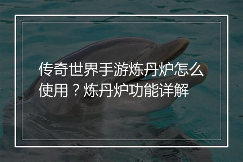 传奇世界手游炼丹炉怎么使用？炼丹炉功能详解