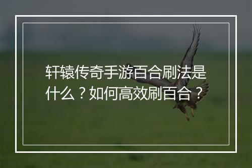 轩辕传奇手游百合刷法是什么？如何高效刷百合？