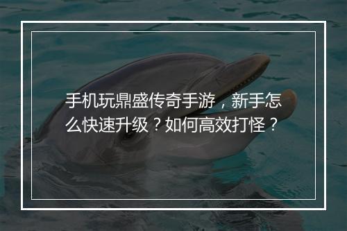 手机玩鼎盛传奇手游，新手怎么快速升级？如何高效打怪？