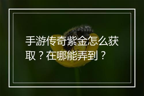 手游传奇紫金怎么获取？在哪能弄到？
