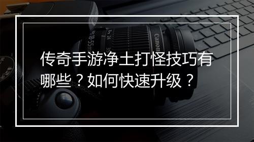传奇手游净土打怪技巧有哪些？如何快速升级？