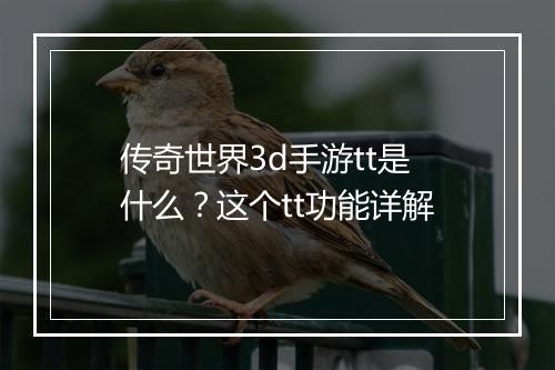 传奇世界3d手游tt是什么？这个tt功能详解