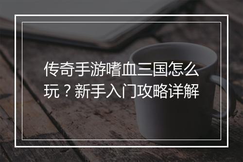 传奇手游嗜血三国怎么玩？新手入门攻略详解