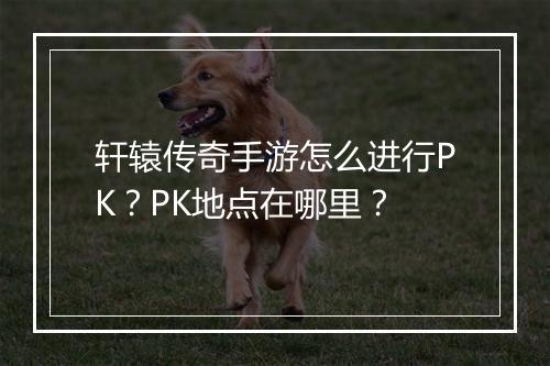 轩辕传奇手游怎么进行PK？PK地点在哪里？