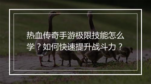 热血传奇手游极限技能怎么学？如何快速提升战斗力？
