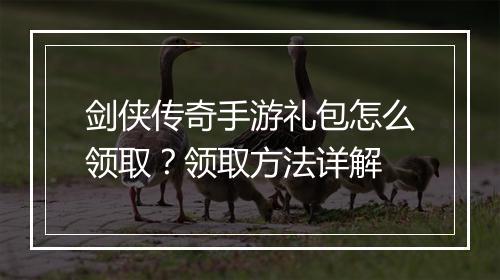 剑侠传奇手游礼包怎么领取？领取方法详解