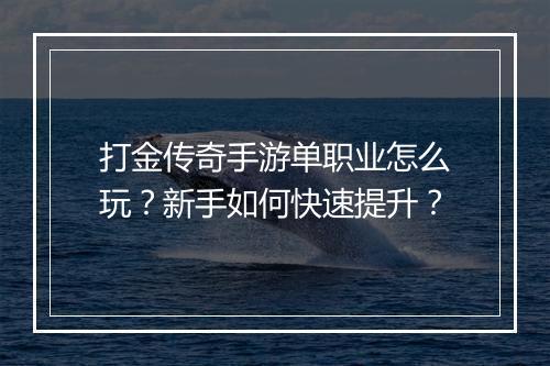 打金传奇手游单职业怎么玩？新手如何快速提升？
