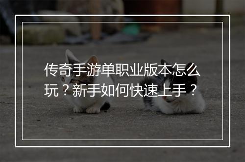 传奇手游单职业版本怎么玩？新手如何快速上手？