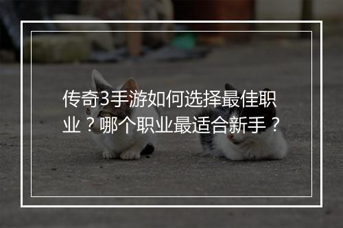 传奇3手游如何选择最佳职业？哪个职业最适合新手？