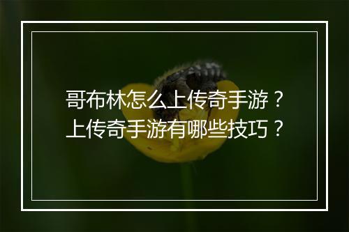 哥布林怎么上传奇手游？上传奇手游有哪些技巧？