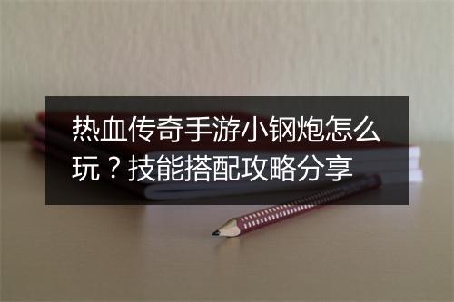 热血传奇手游小钢炮怎么玩？技能搭配攻略分享