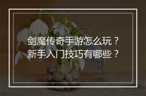 剑魔传奇手游怎么玩？新手入门技巧有哪些？