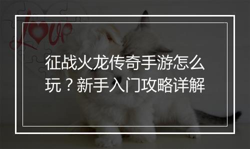 征战火龙传奇手游怎么玩？新手入门攻略详解